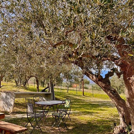 Oasi Macerina Villa Alanno Buitenkant foto
