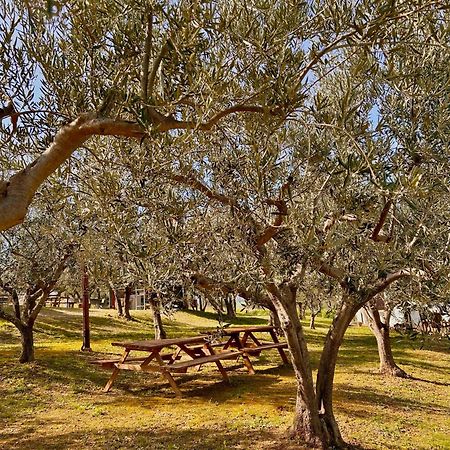 Oasi Macerina Villa Alanno Buitenkant foto