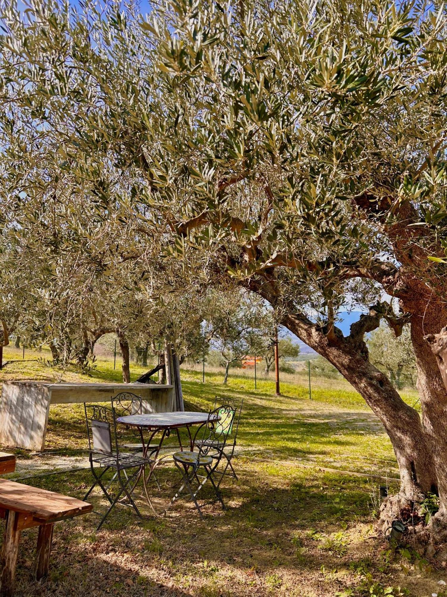 Oasi Macerina Villa Alanno Buitenkant foto