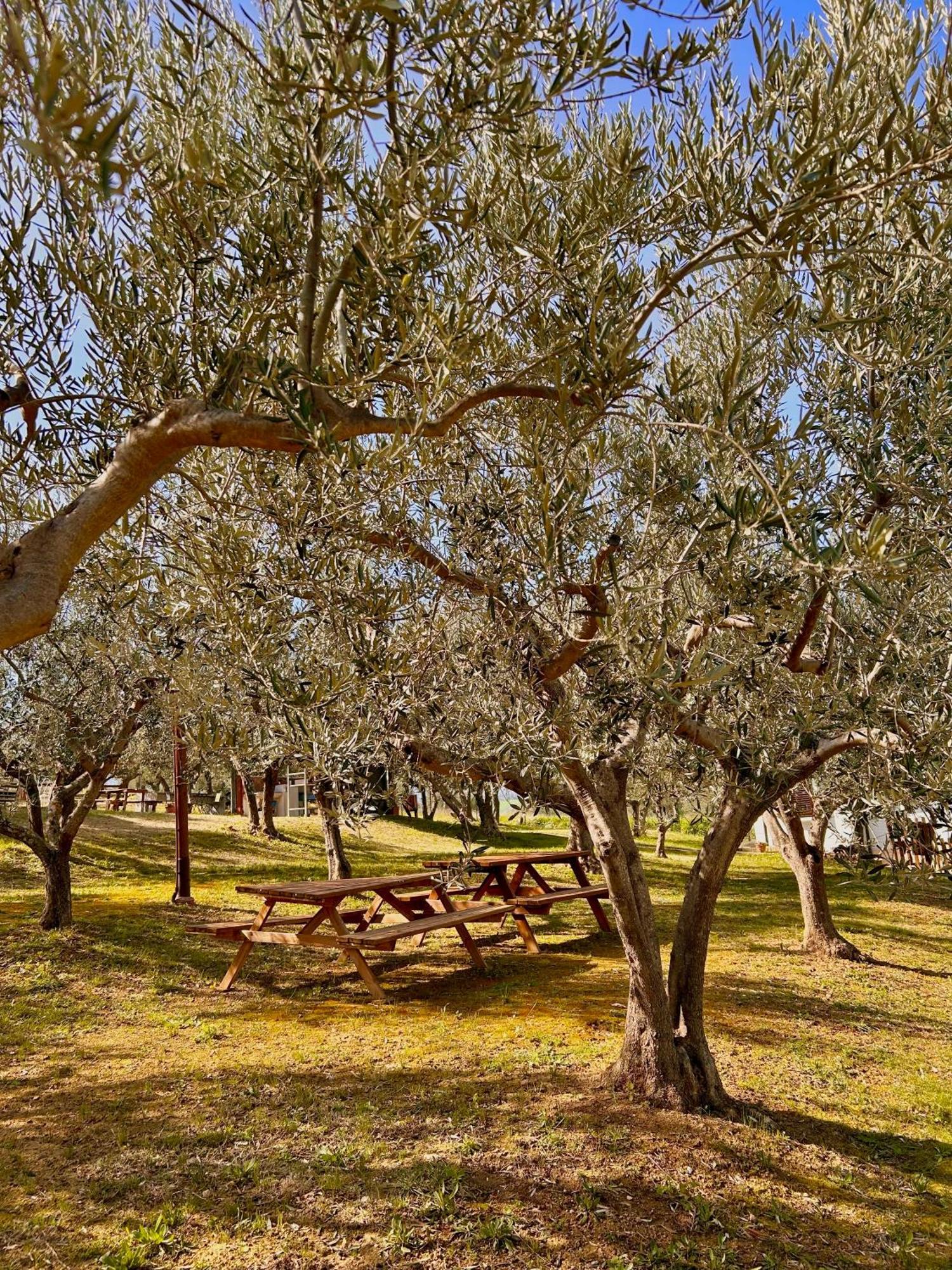 Oasi Macerina Villa Alanno Buitenkant foto