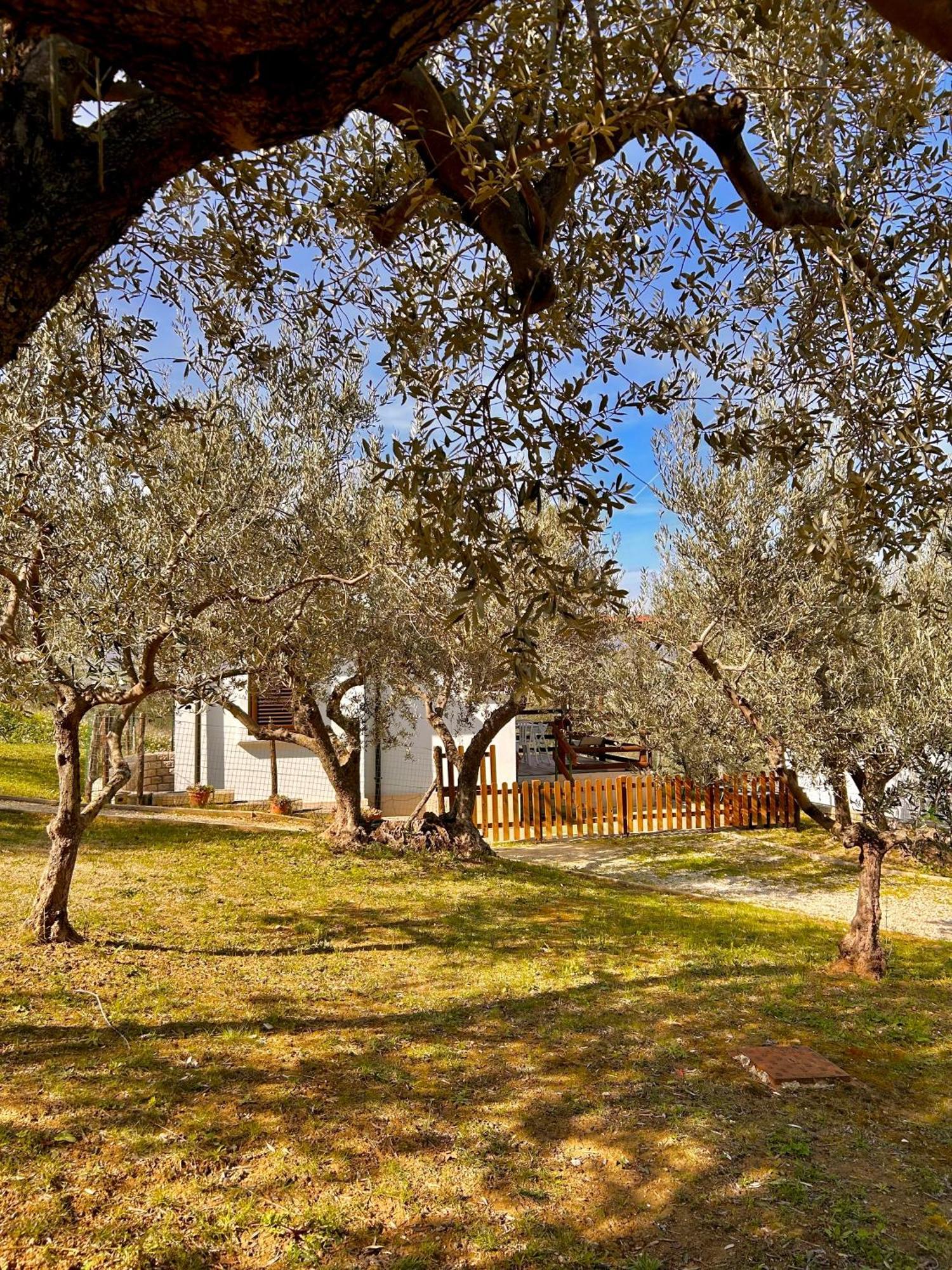 Oasi Macerina Villa Alanno Buitenkant foto