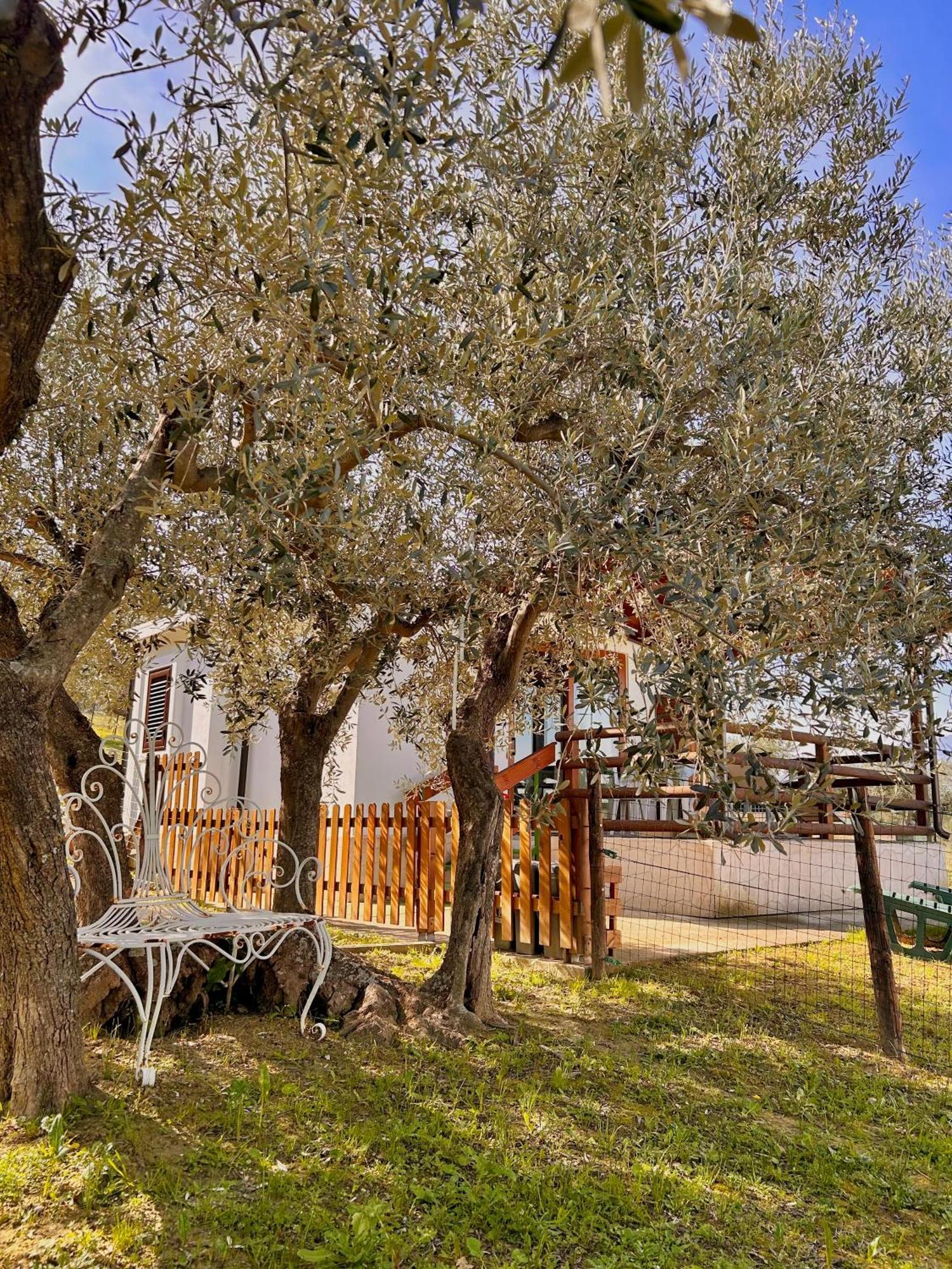 Oasi Macerina Villa Alanno Buitenkant foto