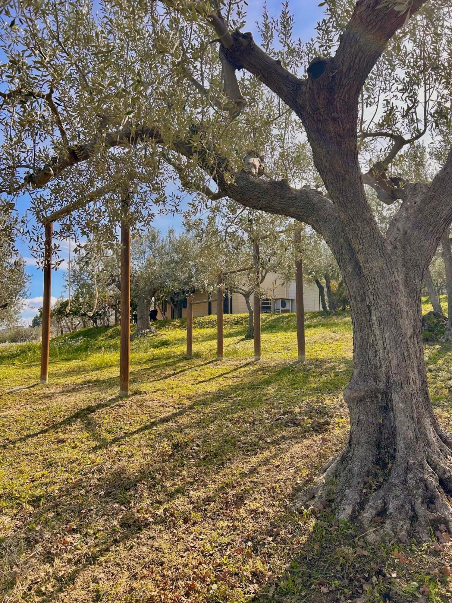 Oasi Macerina Villa Alanno Buitenkant foto