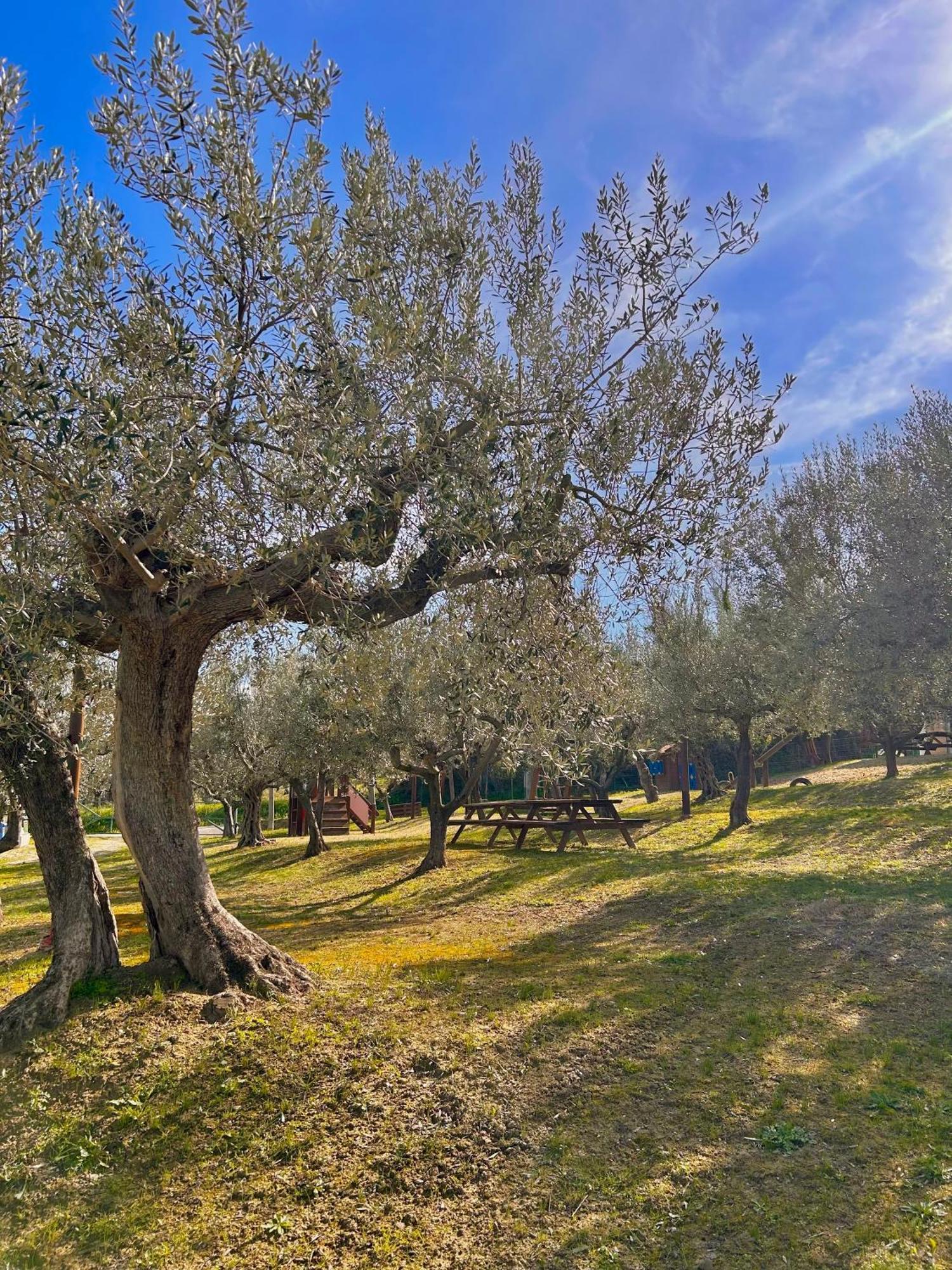 Oasi Macerina Villa Alanno Buitenkant foto