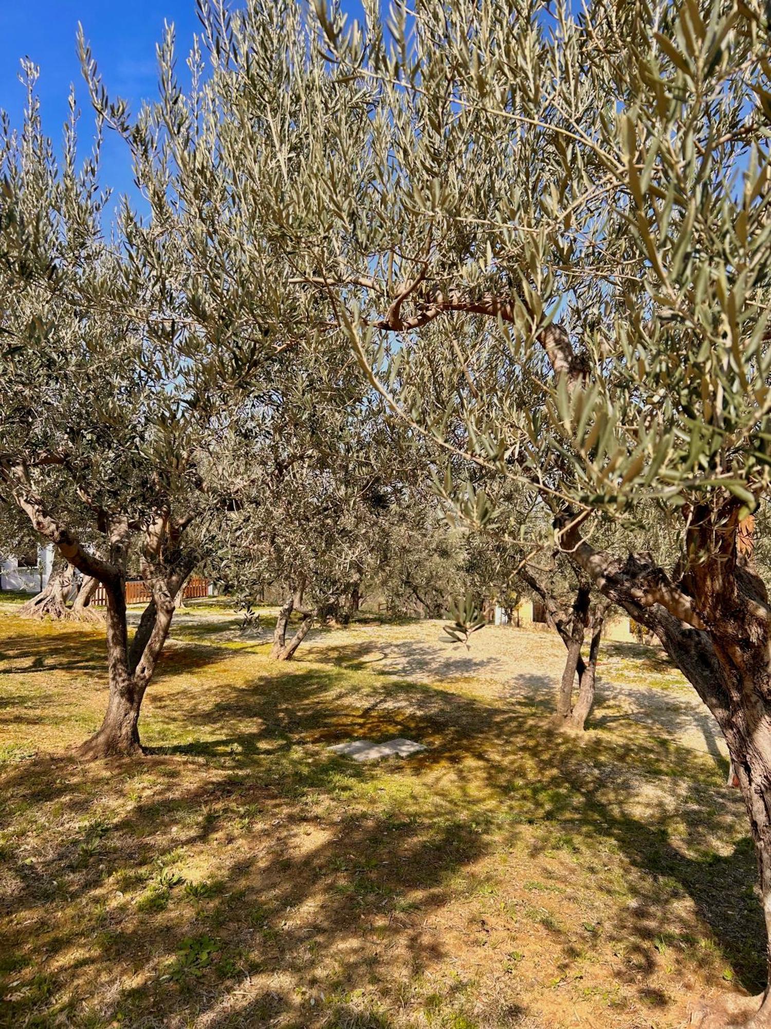 Oasi Macerina Villa Alanno Buitenkant foto