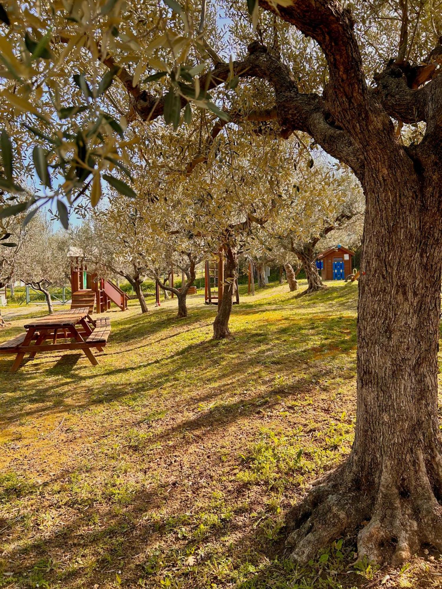 Oasi Macerina Villa Alanno Buitenkant foto