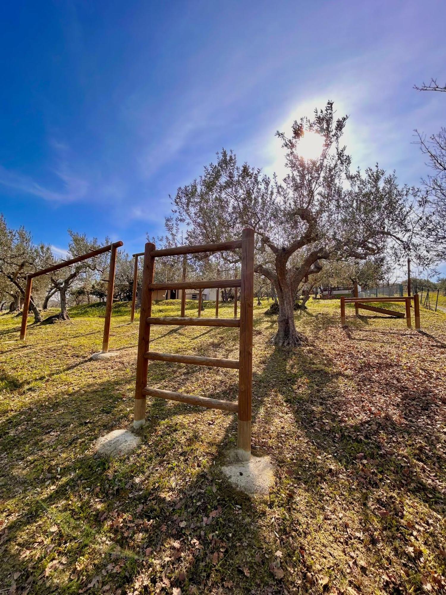 Oasi Macerina Villa Alanno Buitenkant foto