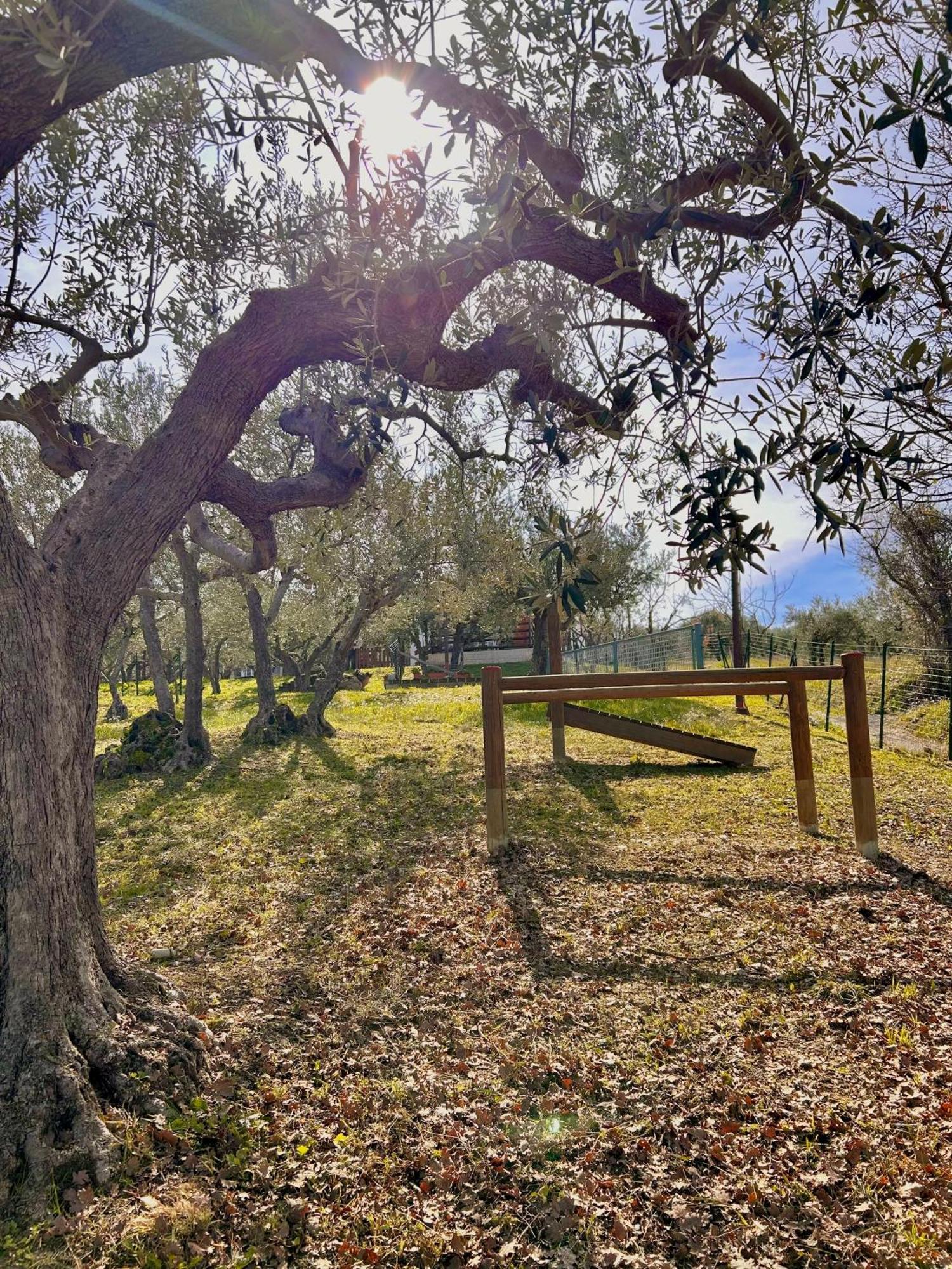 Oasi Macerina Villa Alanno Buitenkant foto
