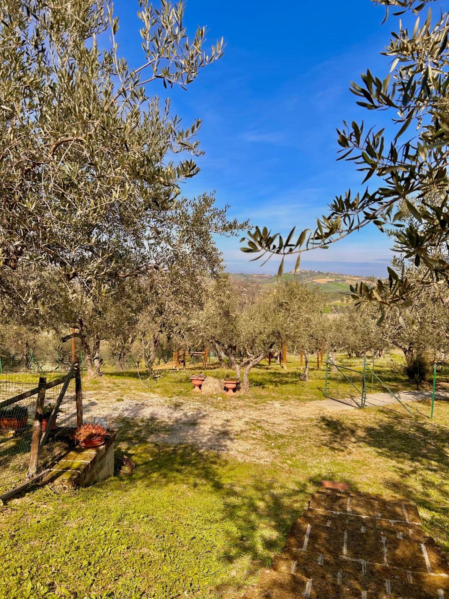 Oasi Macerina Villa Alanno Buitenkant foto