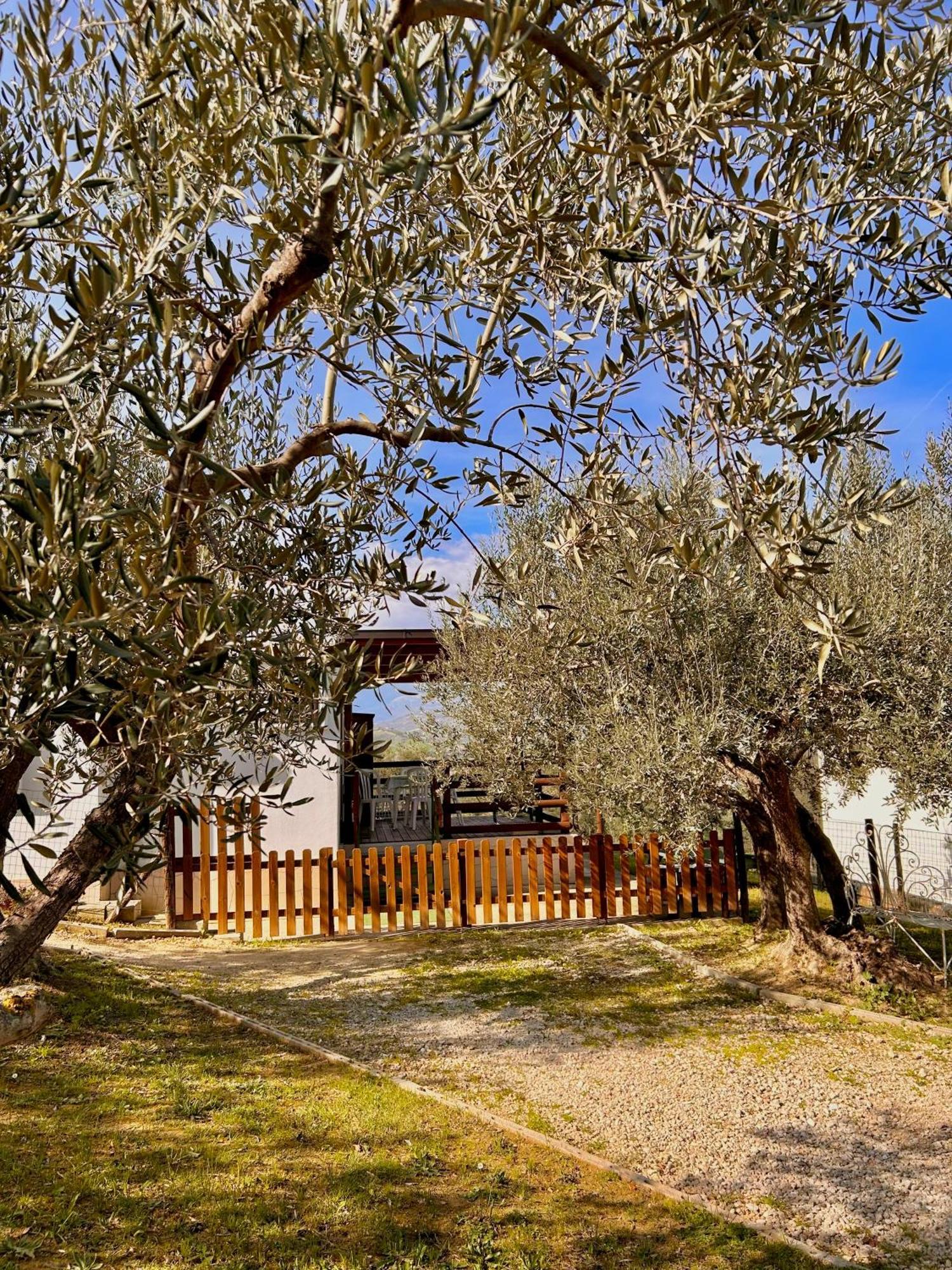 Oasi Macerina Villa Alanno Buitenkant foto